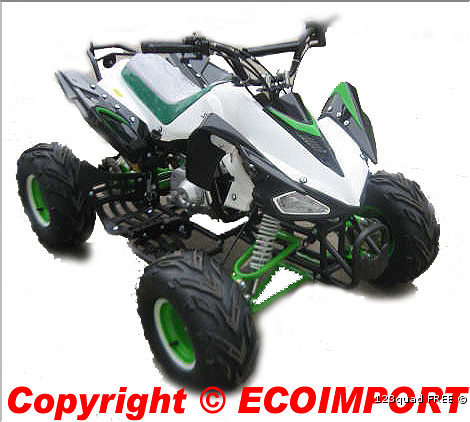 quad-kawasaki-replica-style-genre-look-kawa.jpg